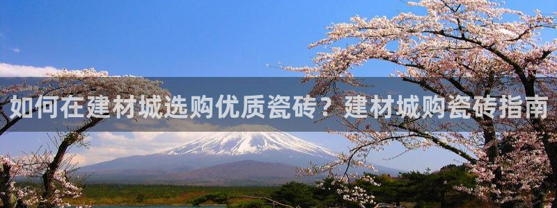 杏鑫官方平台怎么样啊可靠吗