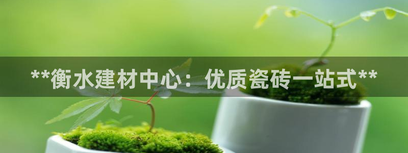 杏鑫官方平台怎么样啊