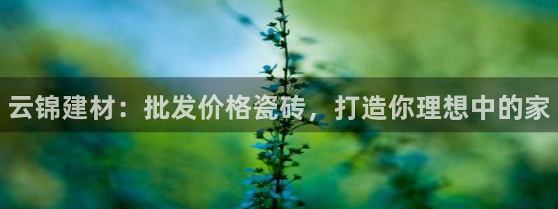 杏鑫平台代理怎么样