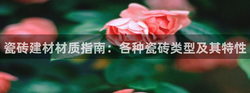 杏鑫平台代理怎么做