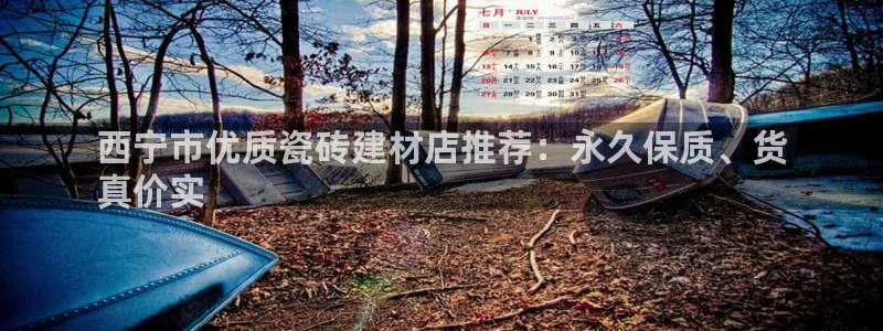 杏鑫娱乐怎么下