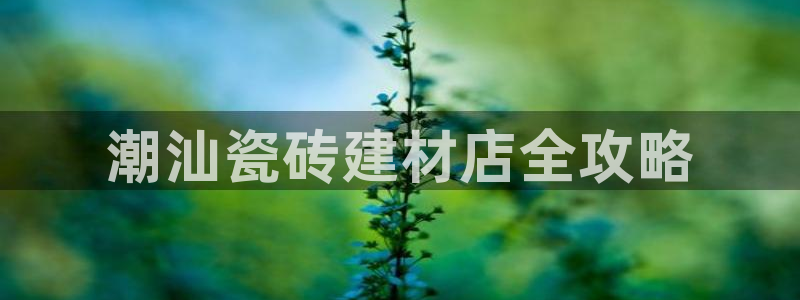 杏鑫平台平台