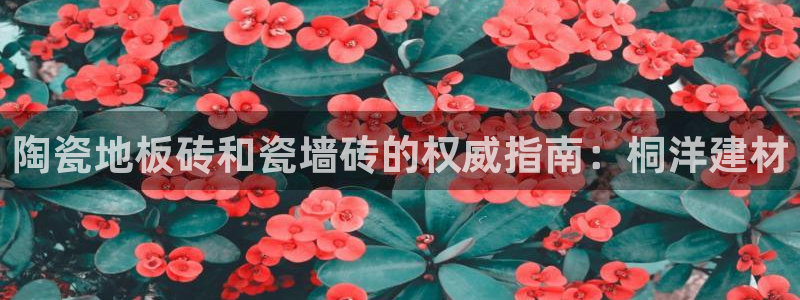 杏鑫平台列7O777