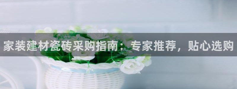 杏鑫平台招商电话号码