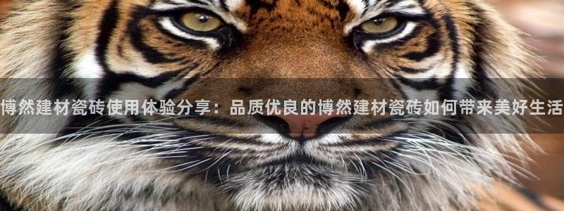杏鑫平台平台娱乐