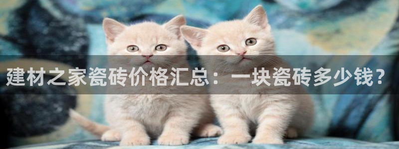 杏鑫平台野马联盟