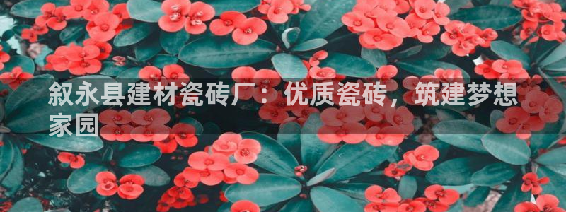 杏鑫平台登陆