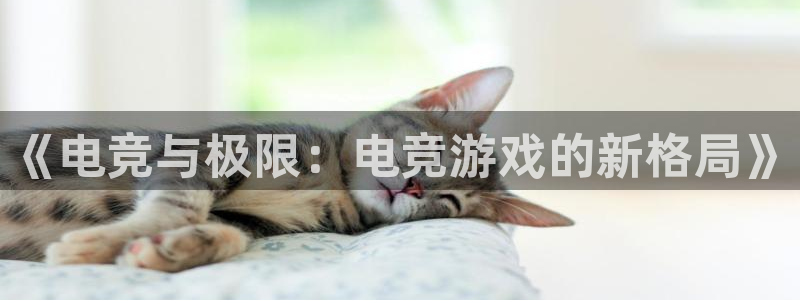 完美电竞app：《电竞与极限：电竞游戏的新格局》