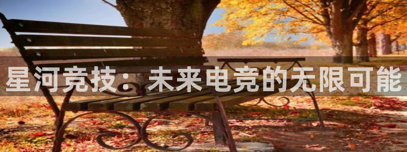 完美电竞联赛：星河竞技：未来电竞的无限可能