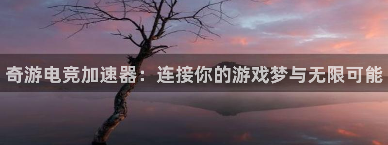 完美电竞app下载：奇游电竞加速器：连接你的游戏梦与无限可能