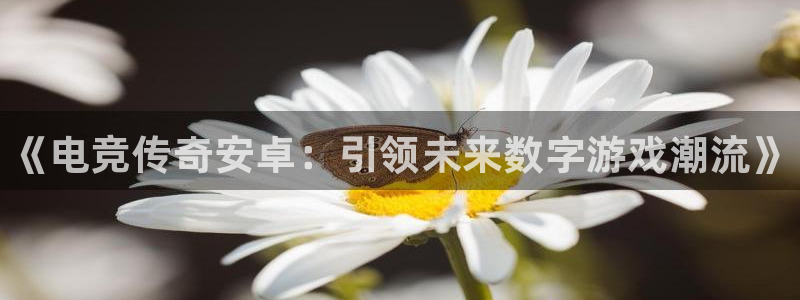 完美电竞对战平台：《电竞传奇安卓：引领未来数字游戏潮流》