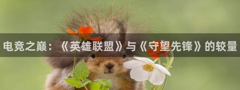 完美电竞大会员：电竞之巅：《英雄联盟》与《守望先锋》的较量