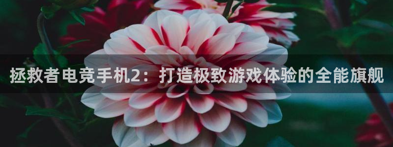 完美电竞对战平台：拯救者电竞手机2：打造极致游戏体验的全能旗舰