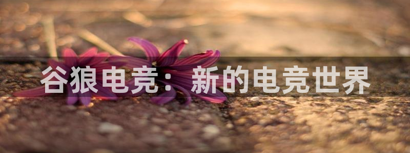 完美电竞对战：谷狼电竞：新的电竞世界