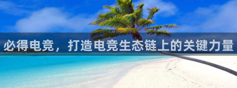 csgo完美电竞平台：必得电竞，打造电竞生态链上的关键力量