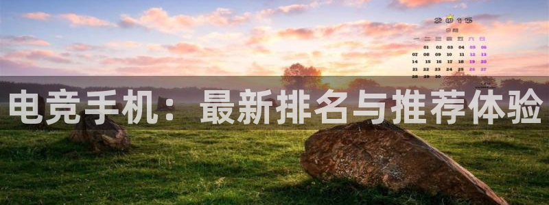 完美电竞大会员：电竞手机：最新排名与推荐体验