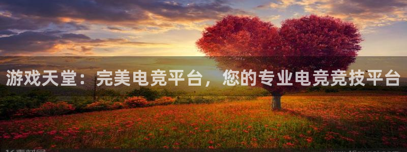 完美电竞账号：游戏天堂：完美电竞平台，您的专业电竞竞技平台