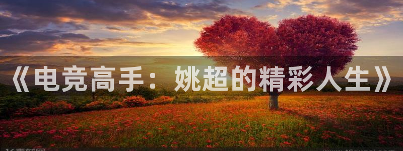 完美电竞平台排行榜：《电竞高手：姚超的精彩人生》