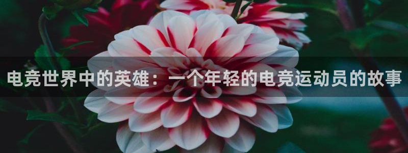 cs完美电竞平台：电竞世界中的英雄：一个年轻的电竞运动员的故事