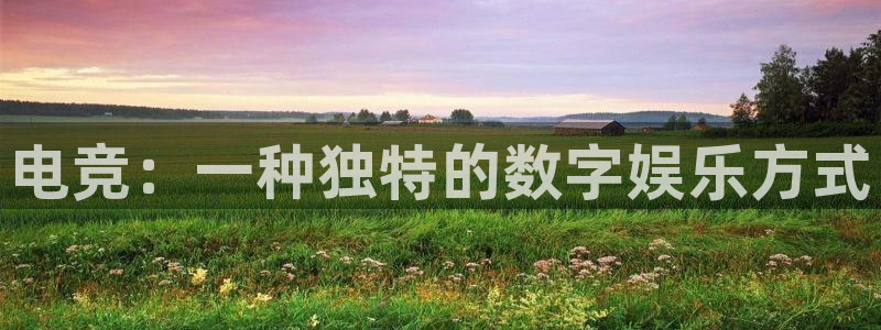 csgo完美电竞：电竞：一种独特的数字娱乐方式