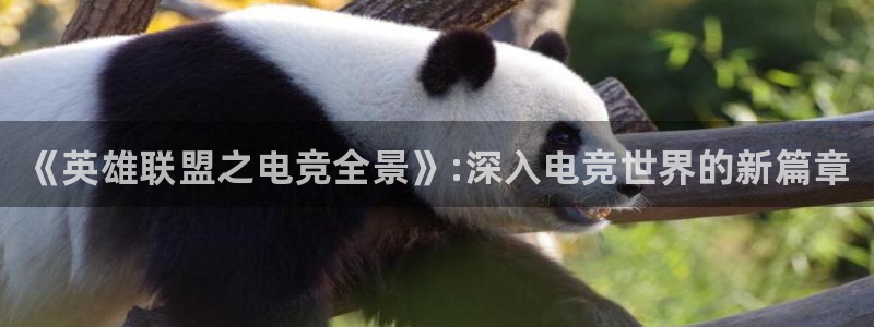 完美电竞app：《英雄联盟之电竞全景》:深入电竞世界的新篇章