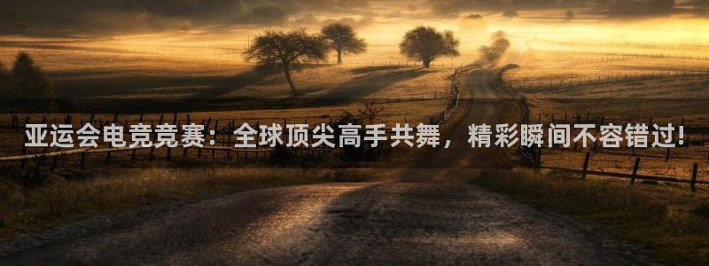完美电竞绑定steam：亚运会电竞竞赛：全球顶尖高手共舞，精彩瞬间不容错过!