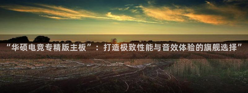 完美电竞对战：“华硕电竞专精版主板”：打造极致性能与音效体验的旗舰选择”