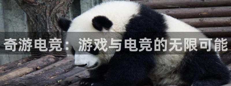 完美电竞开箱：奇游电竞：游戏与电竞的无限可能