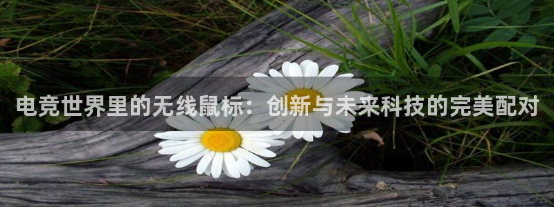 完美电竞查询：电竞世界里的无线鼠标：创新与未来科技的完美配对