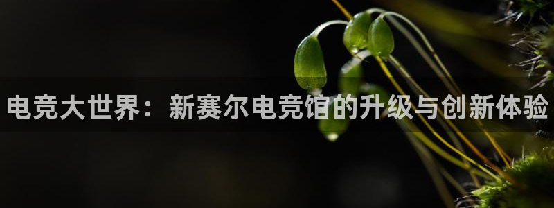 完美电竞注册：电竞大世界：新赛尔电竞馆的升级与创新体验