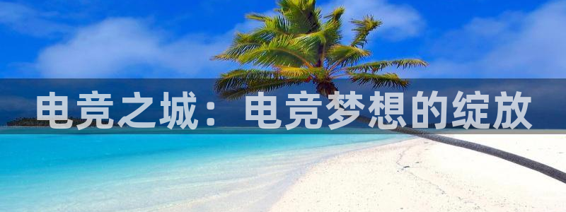 完美电竞app下载：电竞之城：电竞梦想的绽放