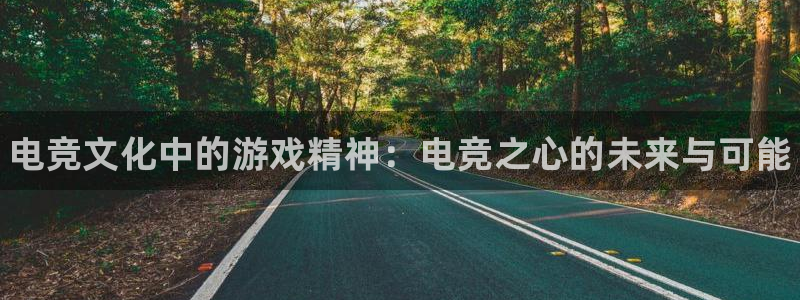 完美电竞app：电竞文化中的游戏精神：电竞之心的未来与可能