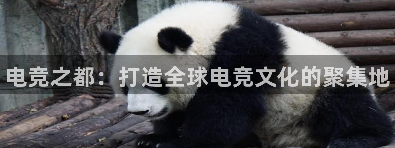 完美电竞账号：电竞之都：打造全球电竞文化的聚集地