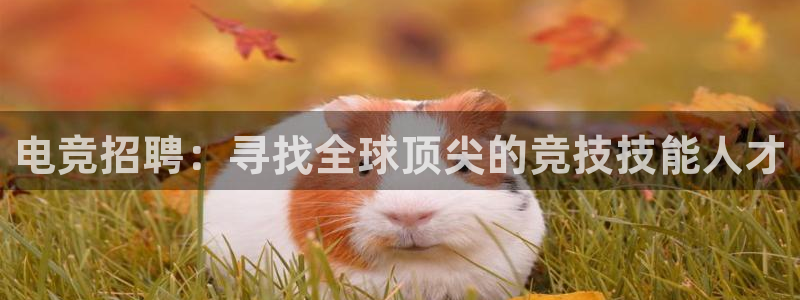 cs完美电竞平台：电竞招聘：寻找全球顶尖的竞技技能人才