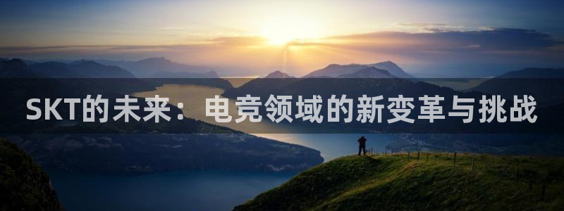 完美电竞世界官网：SKT的未来：电竞领域的新变革与挑战