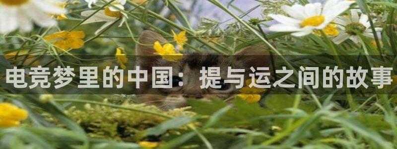完美电竞平台下载：电竞梦里的中国：提与运之间的故事