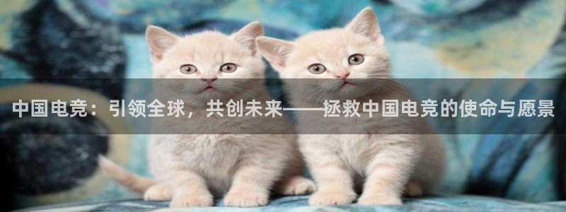 完美电竞大会员：中国电竞：引领全球，共创未来——拯救中国电竞的使命与愿景