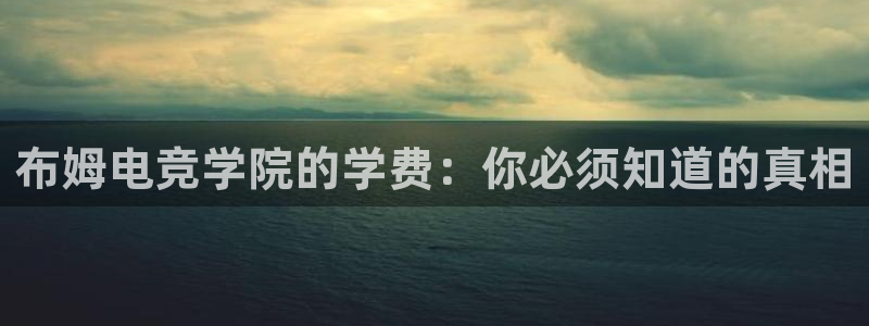 完美电竞app：布姆电竞学院的学费：你必须知道的真相
