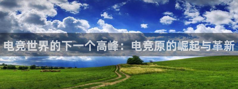完美电竞查询：电竞世界的下一个高峰：电竞原的崛起与革新