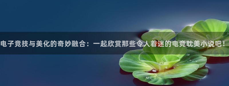 完美电竞app官网：电子竞技与美化的奇妙融合：一起欣赏那些令人着迷的电竞耽美小说吧！