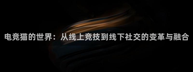 完美电竞世界：电竞猫的世界：从线上竞技到线下社交的变革与融合