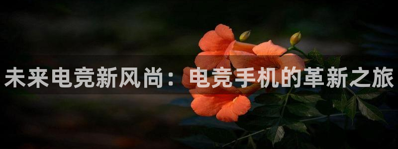 完美电竞官网首页：未来电竞新风尚：电竞手机的革新之旅