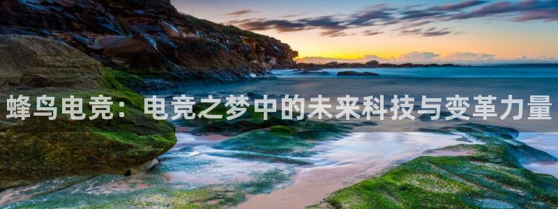 完美电竞官网首页：蜂鸟电竞：电竞之梦中的未来科技与变革力量