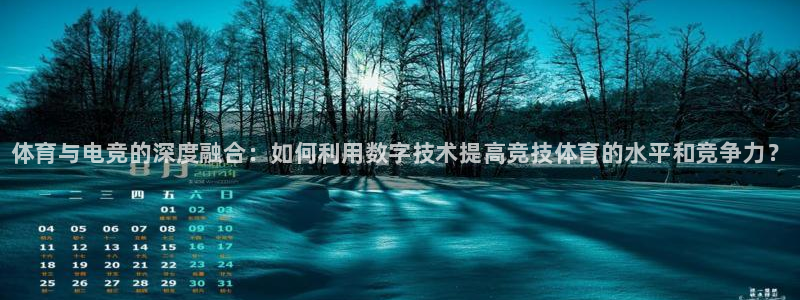 完美电竞大会员：体育与电竞的深度融合：如何利用数字技术提高竞技体育的水平和竞争力？