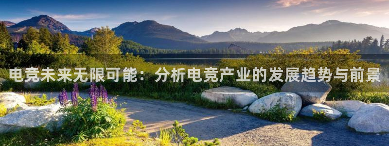 完美电竞app下载：电竞未来无限可能：分析电竞产业的发展趋势与前景