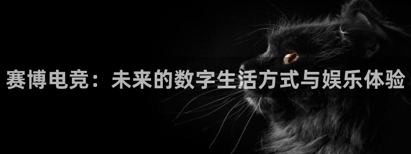 完美电竞联赛：赛博电竞：未来的数字生活方式与娱乐体验