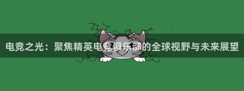 完美电竞平台排行榜：电竞之光：聚焦精英电竞俱乐部的全球视野与未来展望