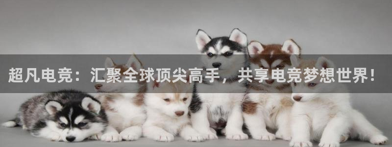 完美电竞大会员：超凡电竞：汇聚全球顶尖高手，共享电竞梦想世界！