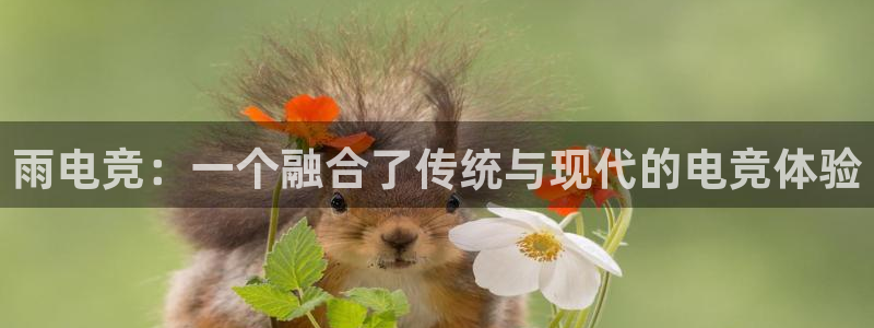完美电竞注册：雨电竞：一个融合了传统与现代的电竞体验