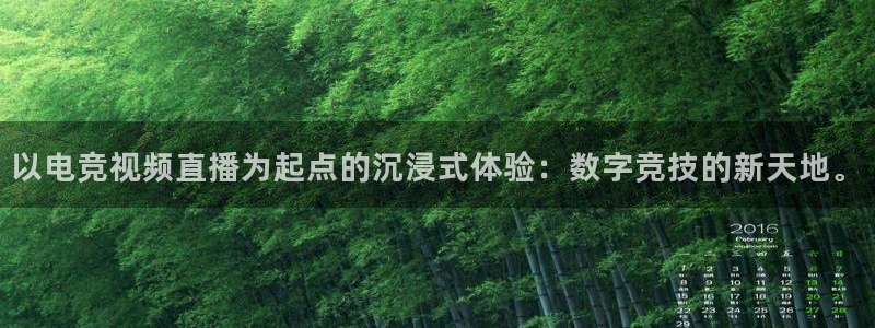 完美电竞世界官网：以电竞视频直播为起点的沉浸式体验：数字竞技的新天地。